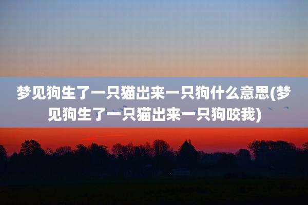 梦见狗生了一只猫出来一只狗什么意思(梦见狗生了一只猫出来一只狗咬我)