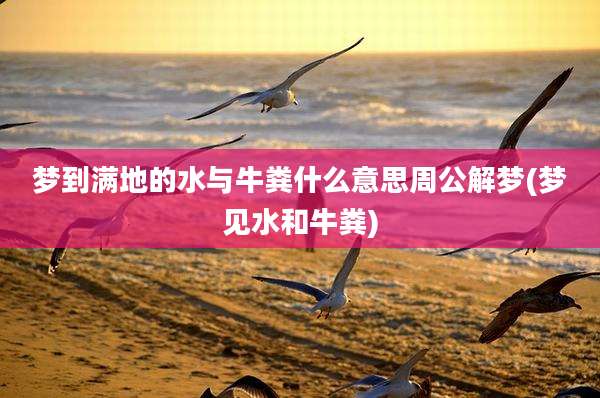 梦到满地的水与牛粪什么意思周公解梦(梦见水和牛粪)