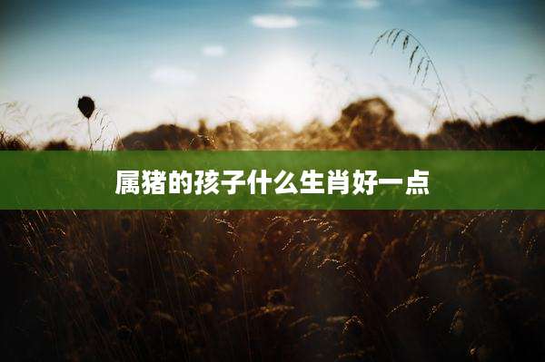 属猪的孩子什么生肖好一点