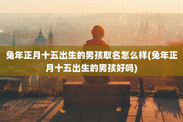 兔年正月十五出生的男孩取名怎么样(兔年正月十五出生的男孩好吗)