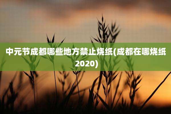 中元节成都哪些地方禁止烧纸(成都在哪烧纸 2020)