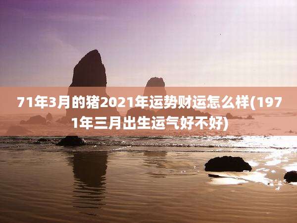 71年3月的猪2021年运势财运怎么样(1971年三月出生运气好不好)