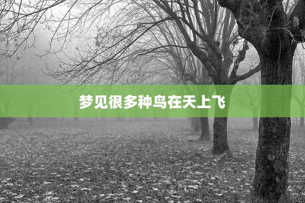 梦见很多种鸟在天上飞