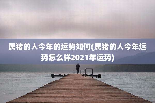 属猪的人今年的运势如何(属猪的人今年运势怎么样2021年运势)