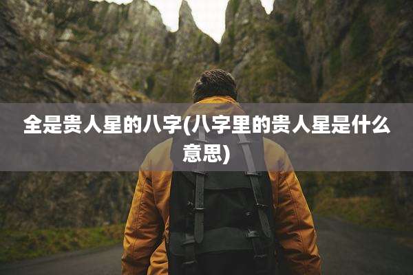 全是贵人星的八字(八字里的贵人星是什么意思)