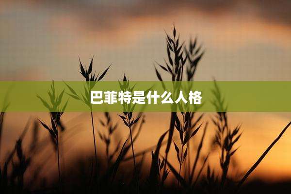巴菲特是什么人格