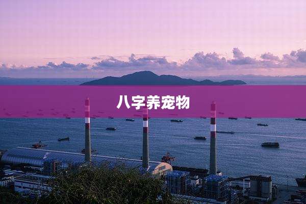 八字养宠物