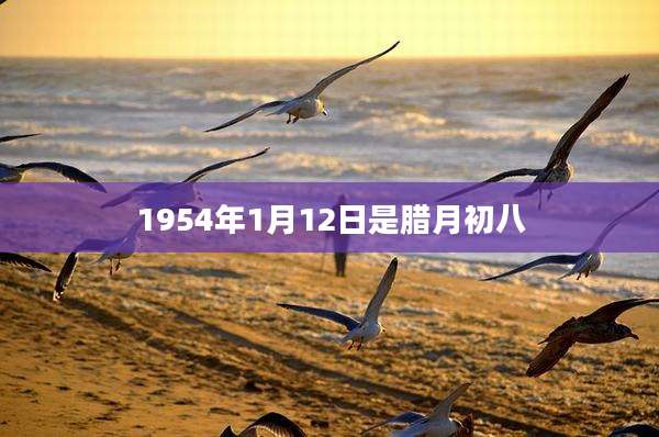 1954年1月12日是腊月初八