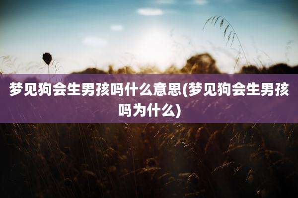 梦见狗会生男孩吗什么意思(梦见狗会生男孩吗为什么)