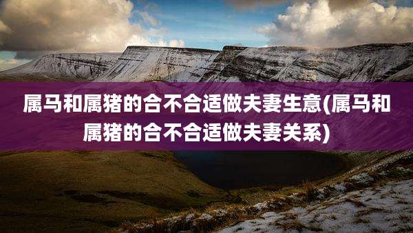 属马和属猪的合不合适做夫妻生意(属马和属猪的合不合适做夫妻关系)