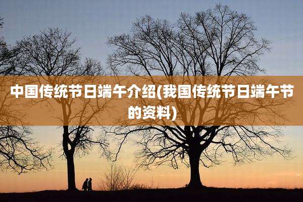 中国传统节日端午介绍(我国传统节日端午节的资料)