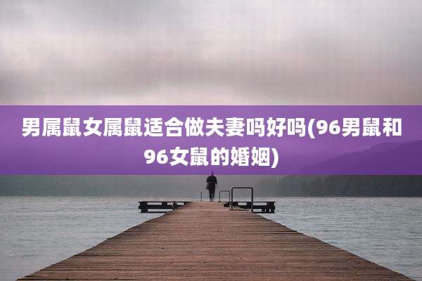 男属鼠女属鼠适合做夫妻吗好吗(96男鼠和96女鼠的婚姻)