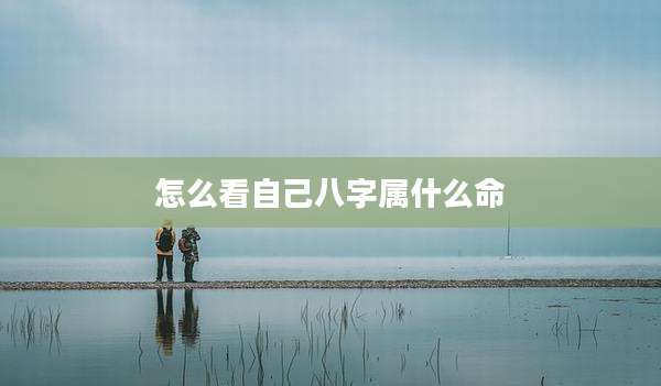 怎么看自己八字属什么命