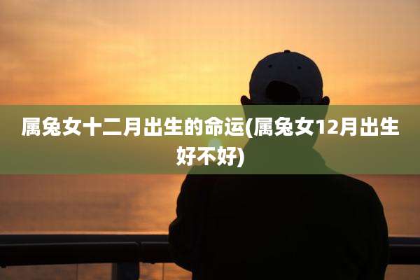 属兔女十二月出生的命运(属兔女12月出生好不好)