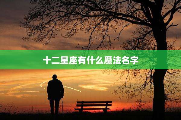 十二星座有什么魔法名字