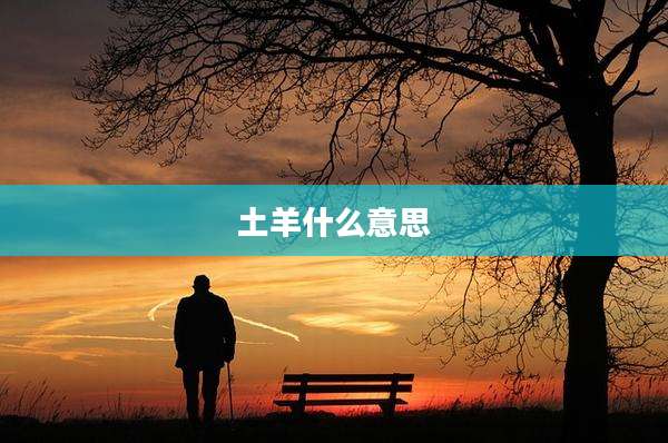 土羊什么意思