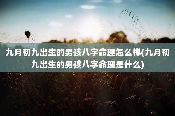 九月初九出生的男孩八字命理怎么样(九月初九出生的男孩八字命理是什么)