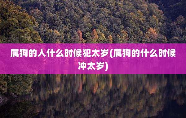 属狗的人什么时候犯太岁(属狗的什么时候冲太岁)
