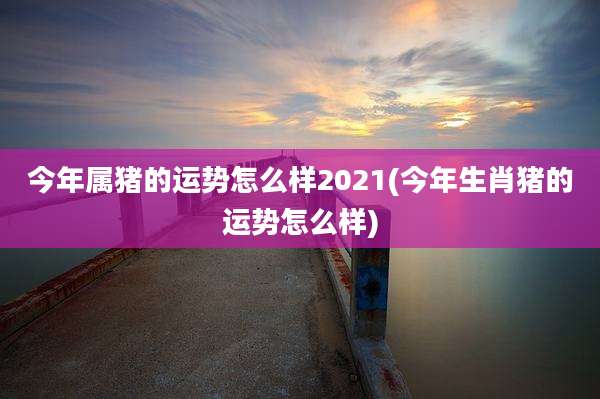 今年属猪的运势怎么样2021(今年生肖猪的运势怎么样)