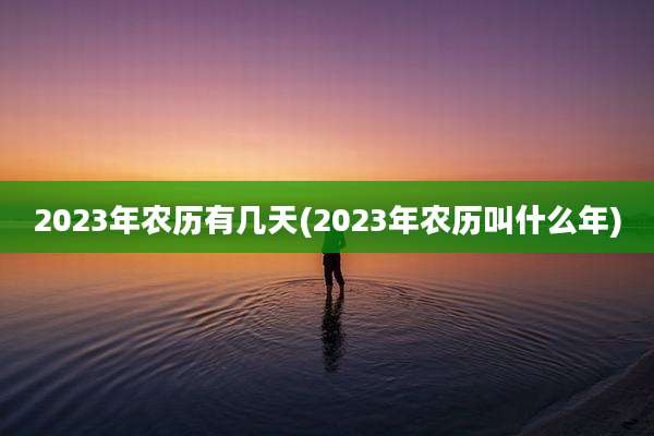 2023年农历有几天(2023年农历叫什么年)