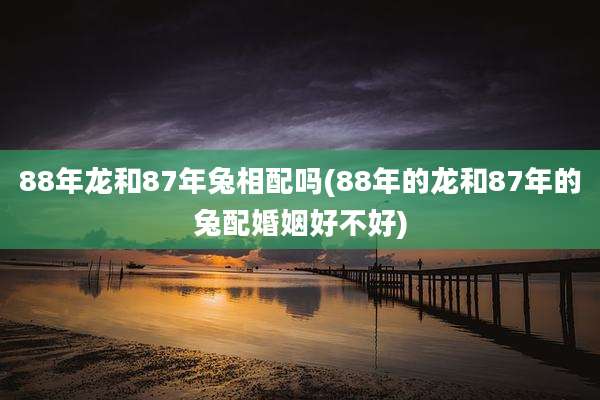 88年龙和87年兔相配吗(88年的龙和87年的兔配婚姻好不好)