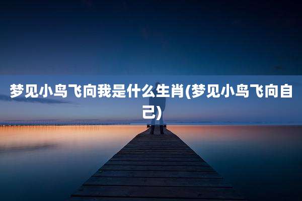 梦见小鸟飞向我是什么生肖(梦见小鸟飞向自己)