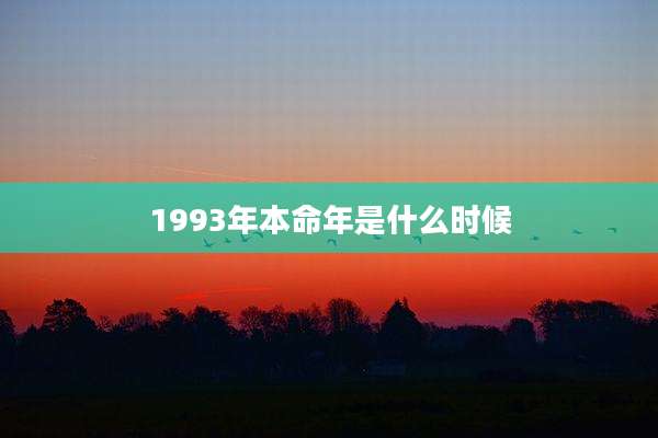1993年本命年是什么时候