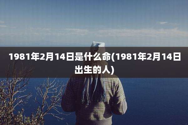 1981年2月14日是什么命(1981年2月14日出生的人)
