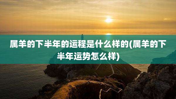属羊的下半年的运程是什么样的(属羊的下半年运势怎么样)