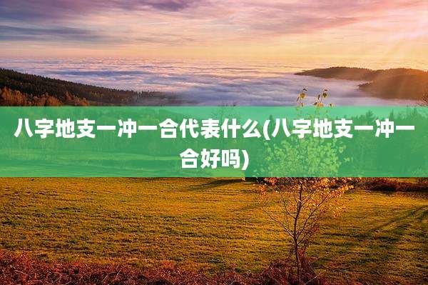八字地支一冲一合代表什么(八字地支一冲一合好吗)