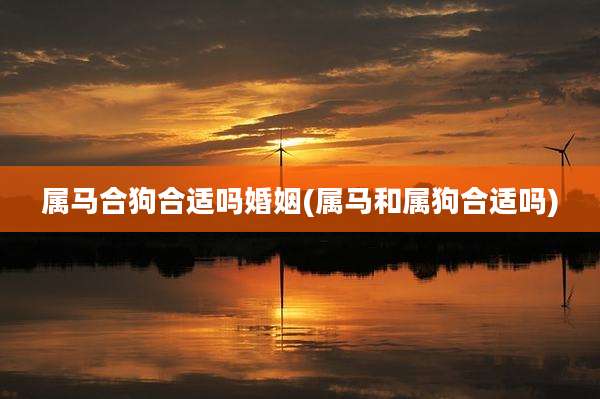 属马合狗合适吗婚姻(属马和属狗合适吗)