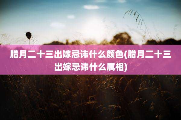 腊月二十三出嫁忌讳什么颜色(腊月二十三出嫁忌讳什么属相)