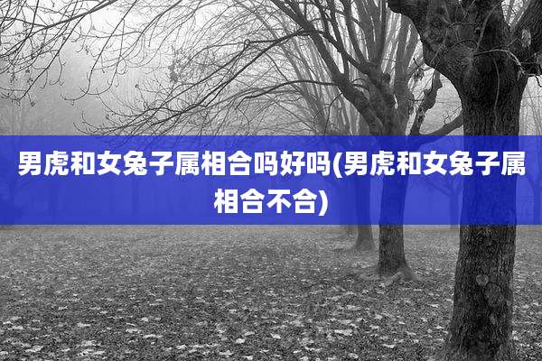 男虎和女兔子属相合吗好吗(男虎和女兔子属相合不合)