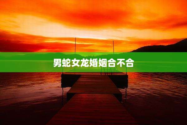 男蛇女龙婚姻合不合