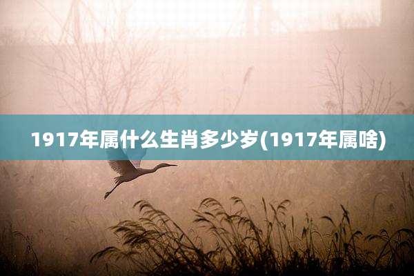 1917年属什么生肖多少岁(1917年属啥)