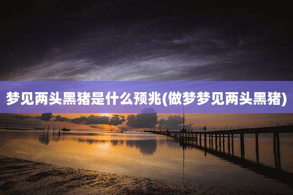 梦见两头黑猪是什么预兆(做梦梦见两头黑猪)
