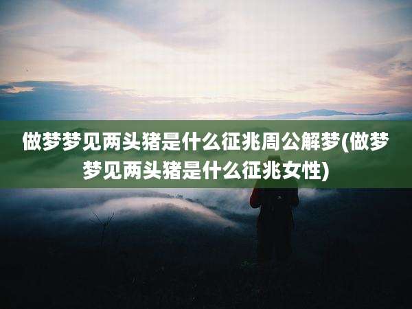 做梦梦见两头猪是什么征兆周公解梦(做梦梦见两头猪是什么征兆女性)