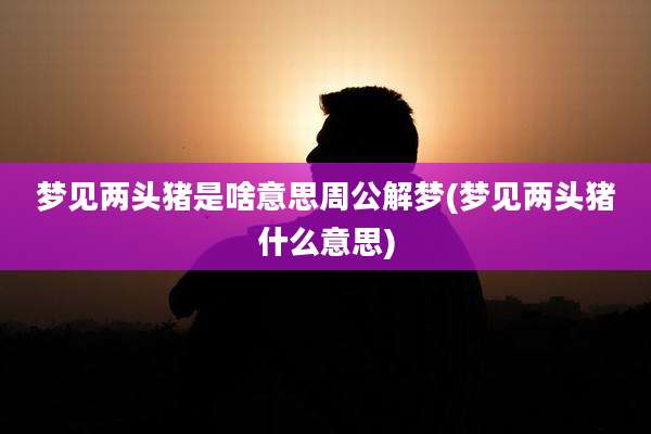 梦见两头猪是啥意思周公解梦(梦见两头猪什么意思)