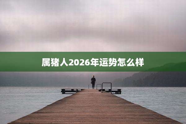 属猪人2026年运势怎么样