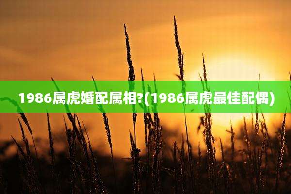 1986属虎婚配属相?(1986属虎最佳配偶)