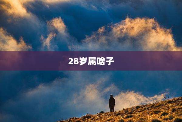 28岁属啥子