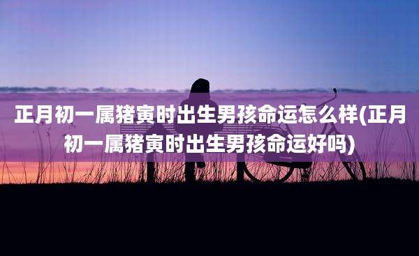 正月初一属猪寅时出生男孩命运怎么样(正月初一属猪寅时出生男孩命运好吗)