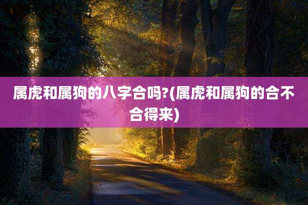 属虎和属狗的八字合吗?(属虎和属狗的合不合得来)