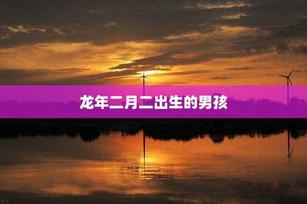 龙年二月二出生的男孩