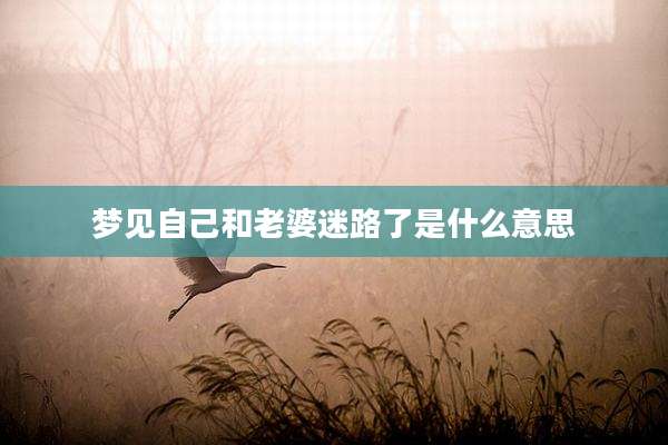 梦见自己和老婆迷路了是什么意思