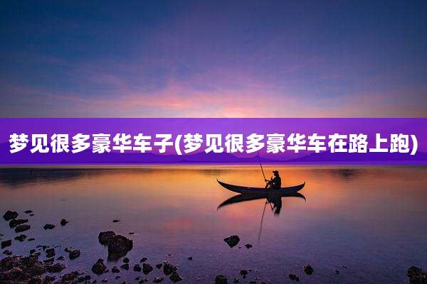 梦见很多豪华车子(梦见很多豪华车在路上跑)