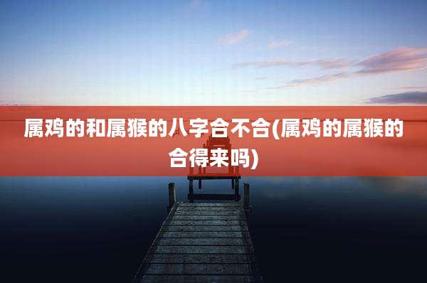 属鸡的和属猴的八字合不合(属鸡的属猴的合得来吗)