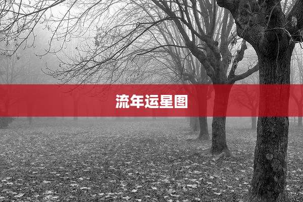 流年运星图