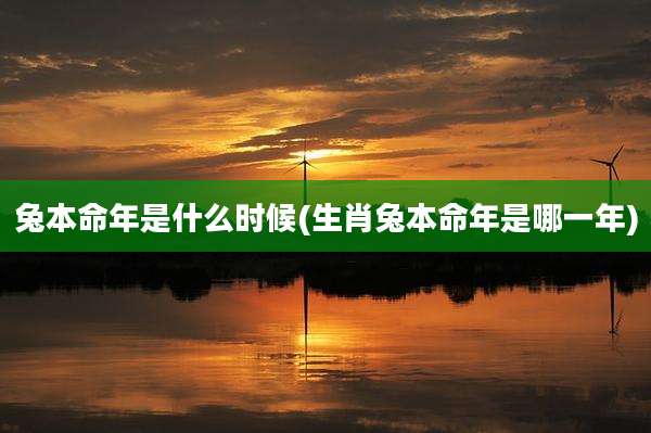 兔本命年是什么时候(生肖兔本命年是哪一年)