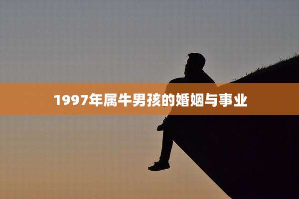 1997年属牛男孩的婚姻与事业